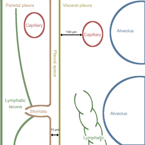 Click on image to zoom