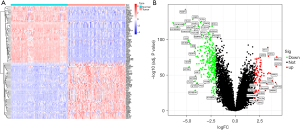 Click on image to zoom