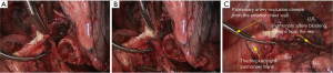 Click on image to zoom