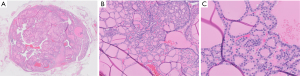 Click on image to zoom