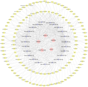 Click on image to zoom