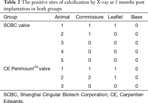 Table 2