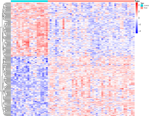Click on image to zoom