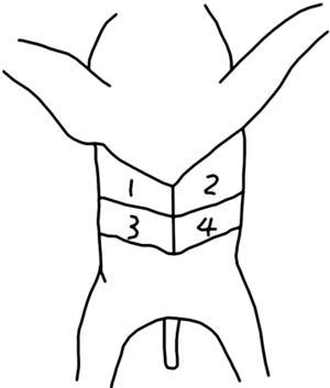 Click on image to zoom