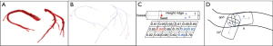 Click on image to zoom