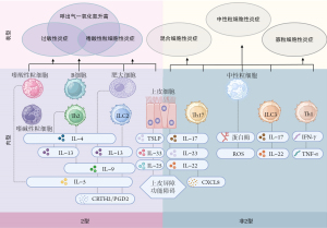 Click on image to zoom 图2