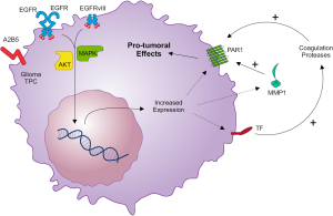 Click on image to zoom