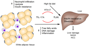 Click on image to zoom