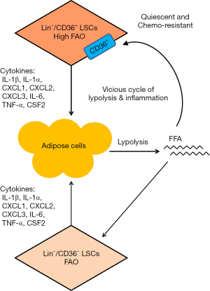 Click on image to zoom