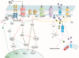 Click on image to zoom