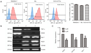 Click on image to zoom