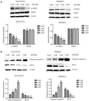 Click on image to zoom