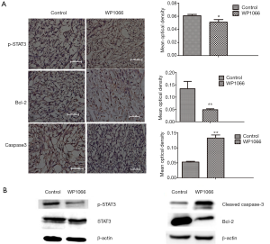 Click on image to zoom