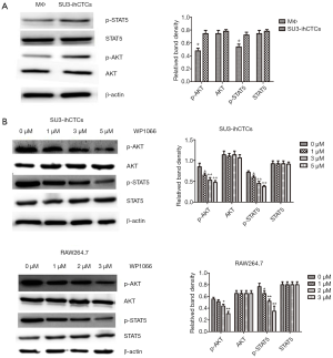 Click on image to zoom