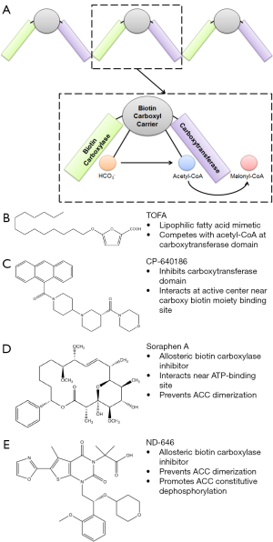 Click on image to zoom