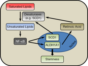 Click on image to zoom