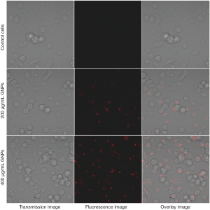 Click on image to zoom