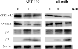 Click on image to zoom