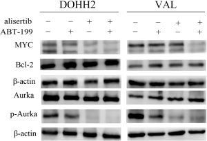 Click on image to zoom