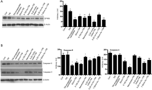 Click on image to zoom