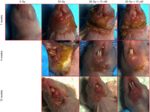 Click on image to zoom