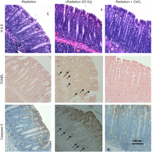 Click on image to zoom