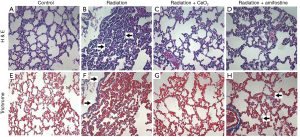 Click on image to zoom