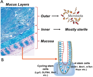 Click on image to zoom