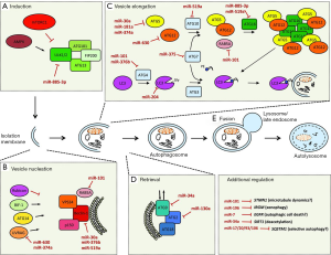 Click on image to zoom