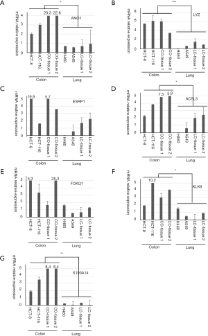 Click on image to zoom