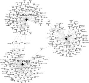 Click on image to zoom