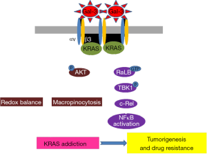 Click on image to zoom