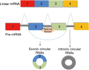 Click on image to zoom