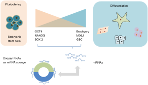 Click on image to zoom