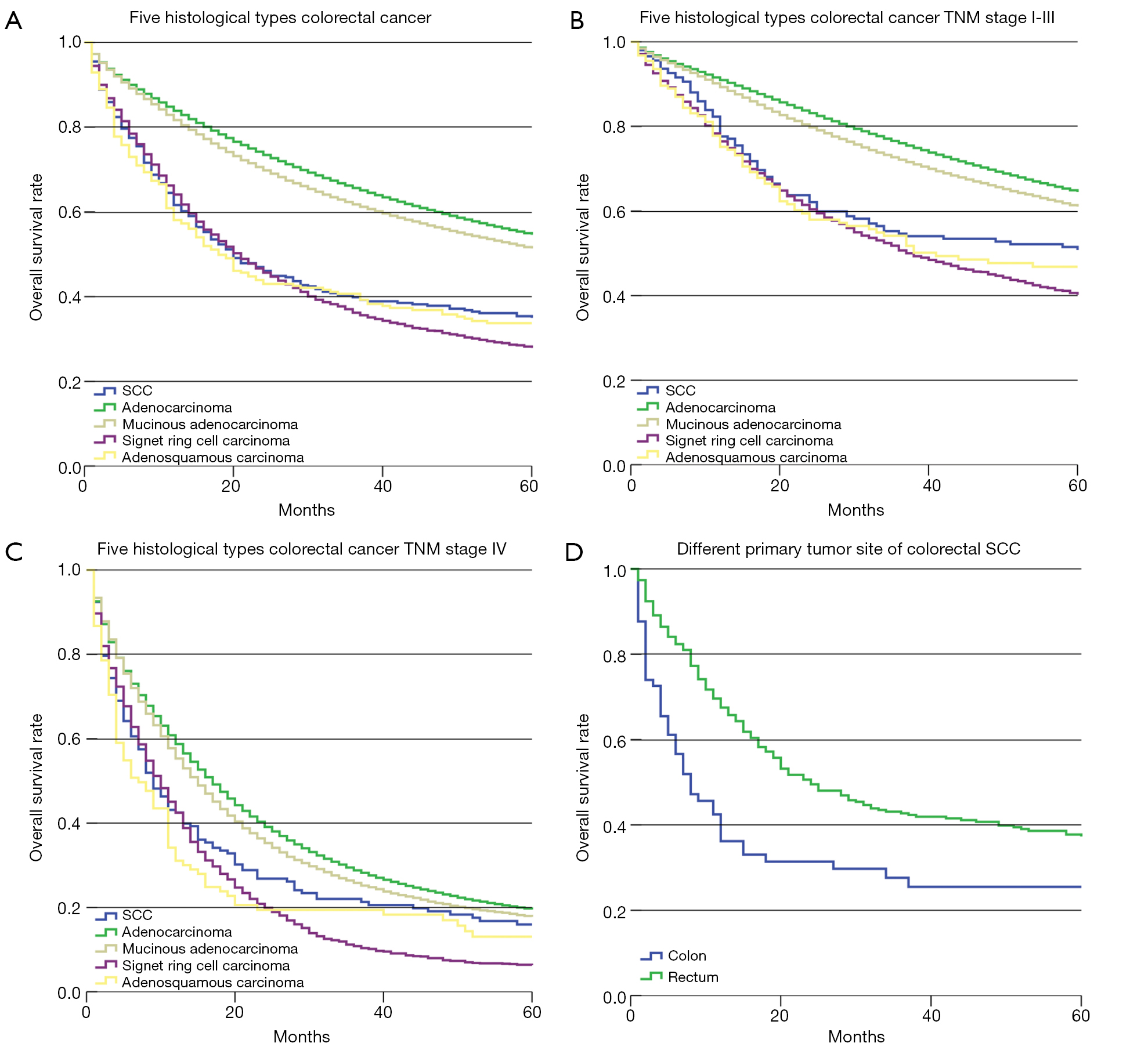 Basic Characteristics And Therapy Regimens For Colorectal Squamous Cell Carcinoma Shi Translational Cancer Research