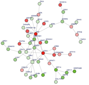 Click on image to zoom