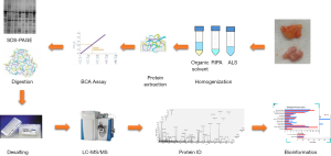 Click on image to zoom