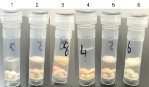 Click on image to zoom