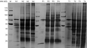 Click on image to zoom