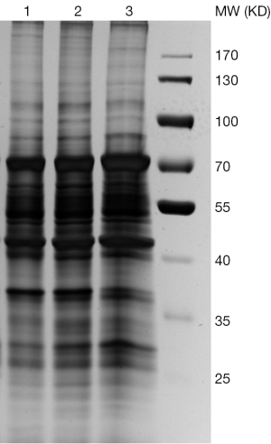 Click on image to zoom