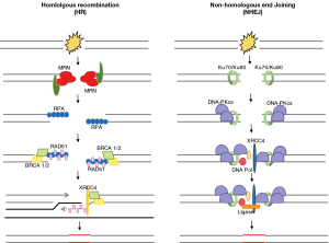 Click on image to zoom