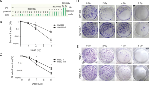 Click on image to zoom