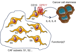 Click on image to zoom