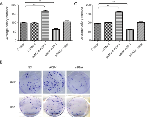 Click on image to zoom