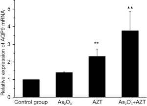 Click on image to zoom