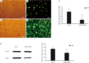 Click on image to zoom