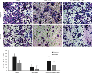 Click on image to zoom