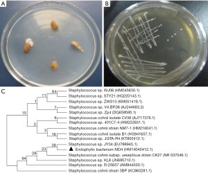 Click on image to zoom