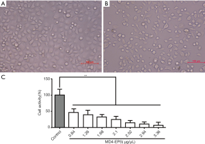 Click on image to zoom