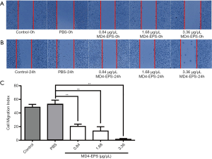 Click on image to zoom